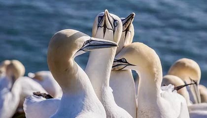 开云网站-韩媒：伊朗雪地传控强到让韩国队迷失方向，伊朗暴雪