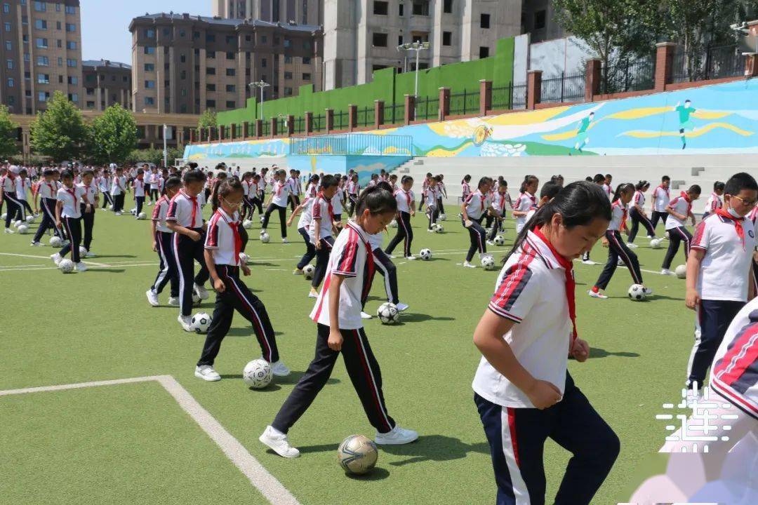 全国青少年足球特色学校建设步伐加快，青训体系逐步完善的简单介绍